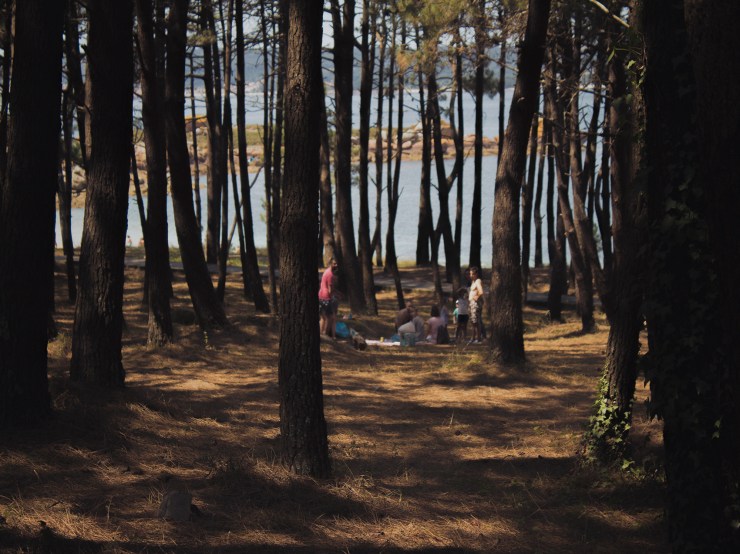 9 LANDSCHAP SERIES, SYMPOSIUM III, PHOTOGRAPHY ON WOOD PANNEL, 40X30CM, 2018